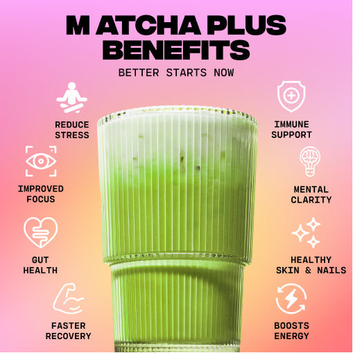 30-servings-of-mushroom-matcha-free-starter-kit-h3 1_e8b56491-7cb2-472e-ac2c-4f42e819f02f.jpg
