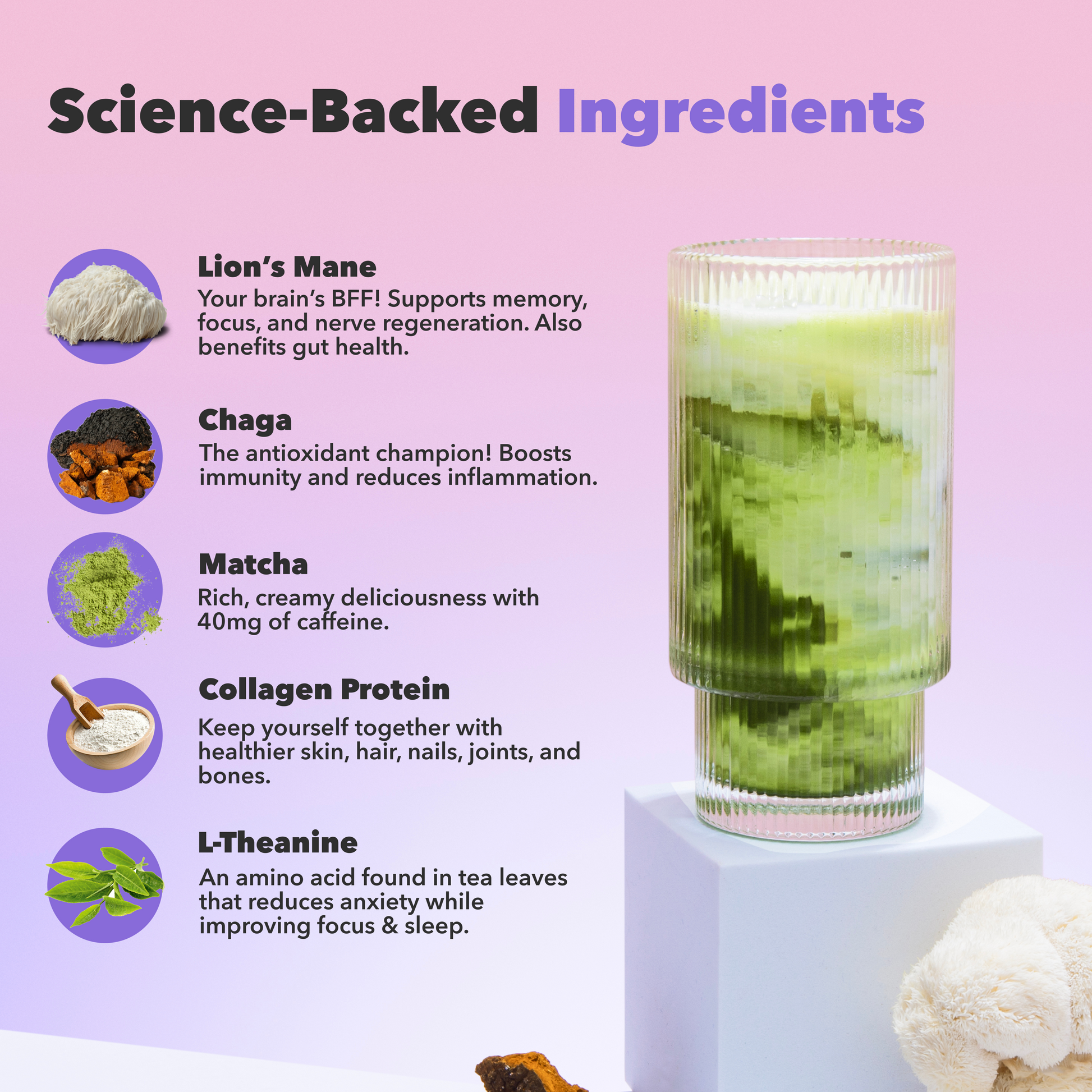 90-servings-mushroom-matcha-k4 custom_resized_386f63f8-0691-449c-9e51-462fed6c0033.png